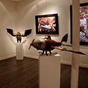 Exposition Fifax & Halleux, 2011