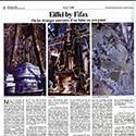 Article Fifax