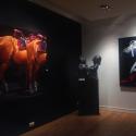 <strong>Exposition "A moi la garde !"</strong> <br />Galerie Ariel Sibony